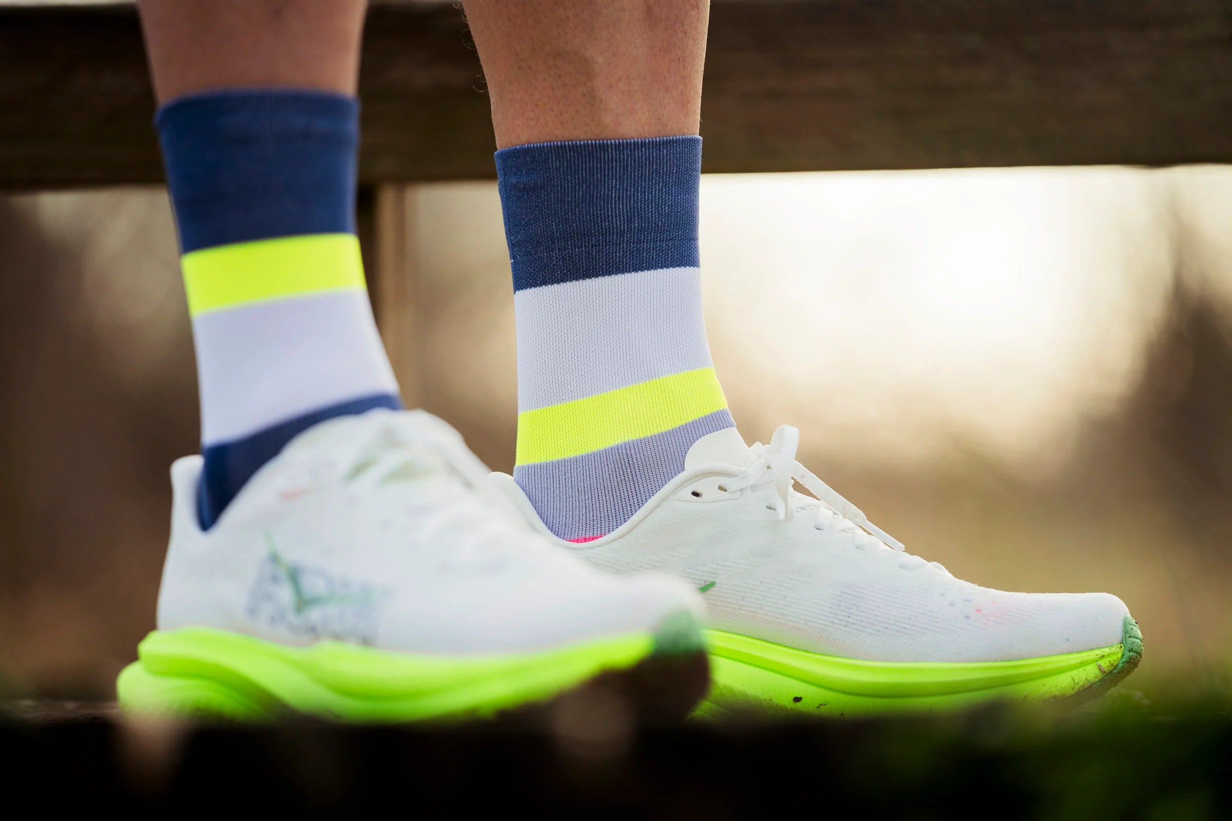 Incylence Running Bands Zucchero Canary