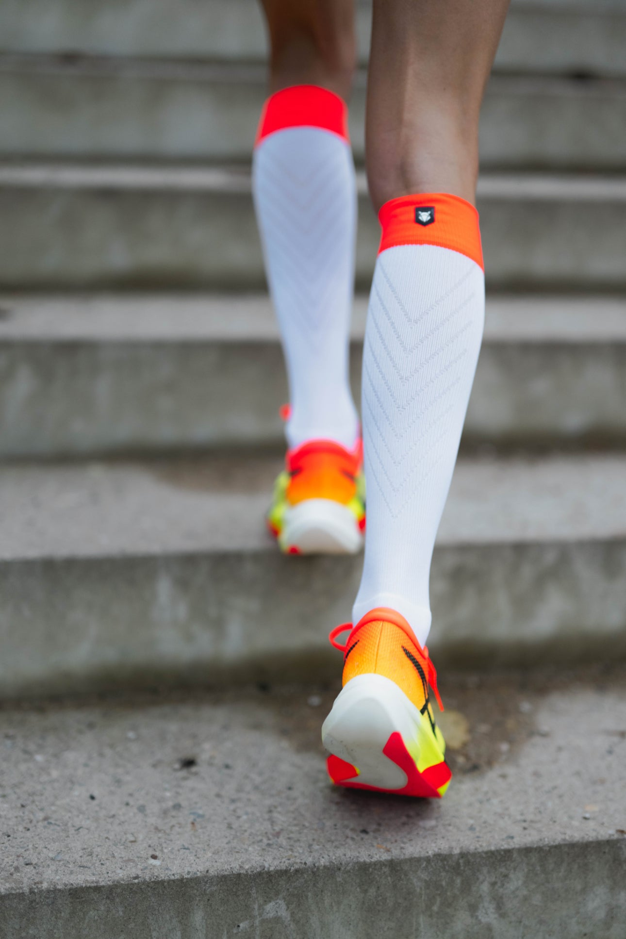 Incylence Renewed Compression V2 White Inferno