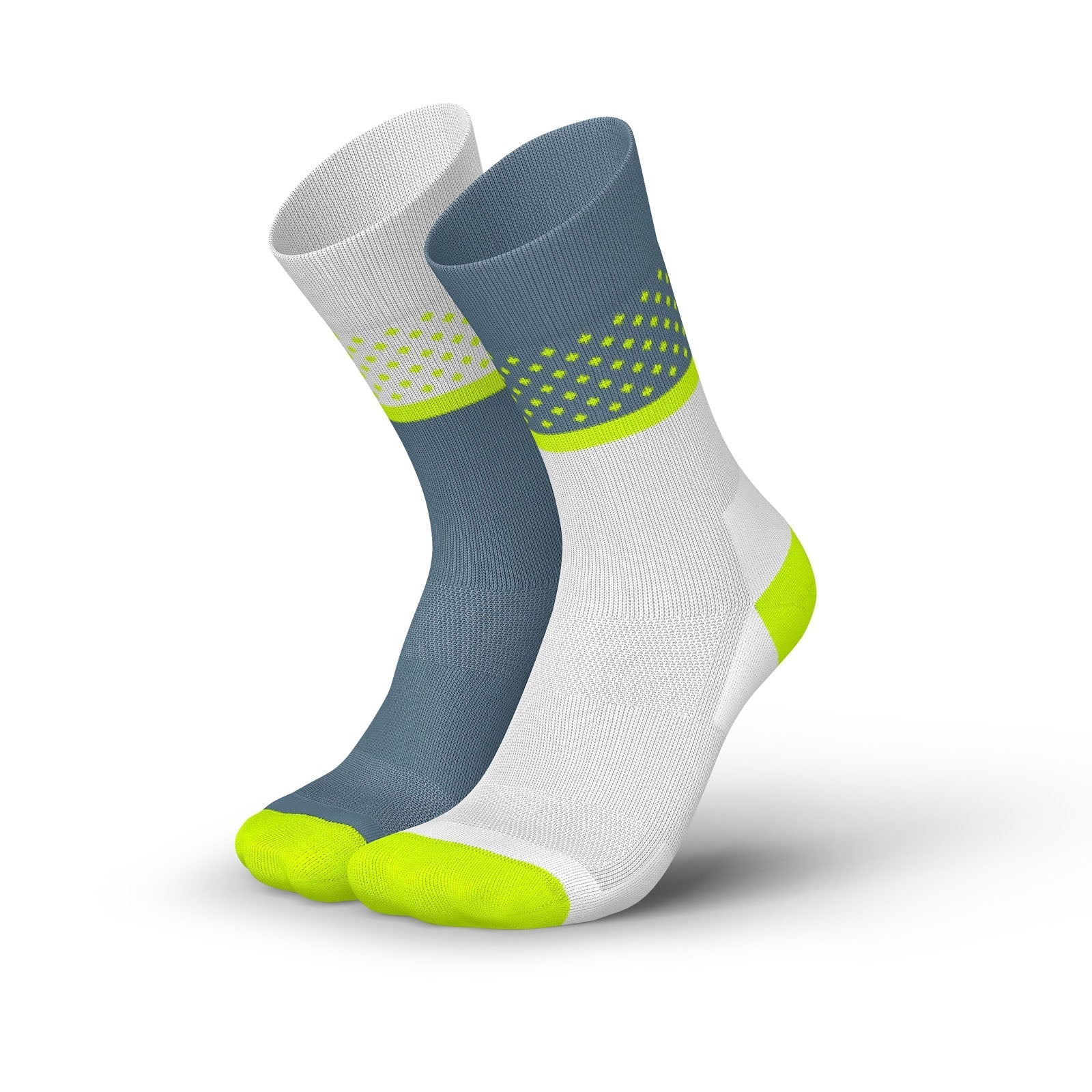 Incylence Renewed 97 Evolution Zucchero Canary