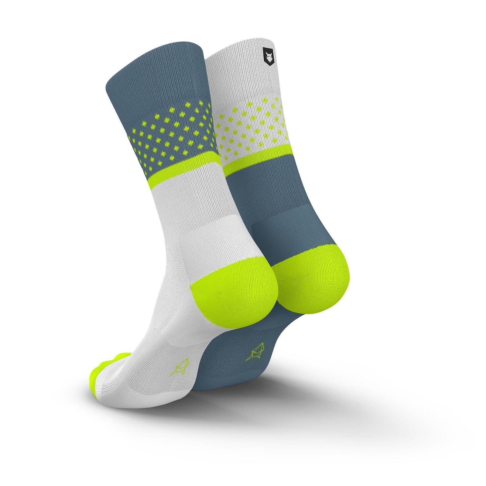 Incylence Renewed 97 Evolution Zucchero Canary