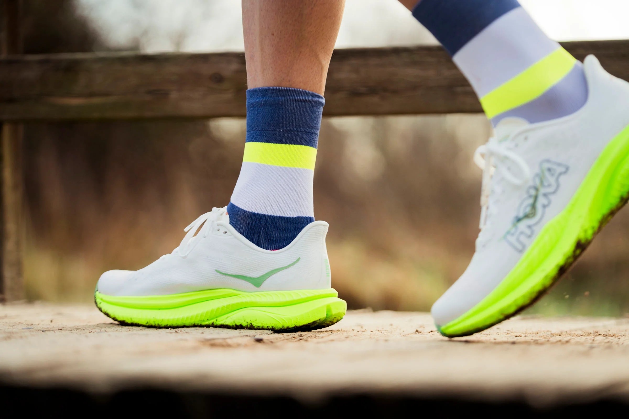 Incylence Running Bands Zucchero Canary